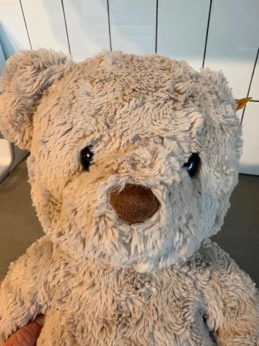 Steiff “Honey” teddy bear - like new